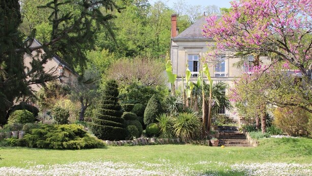 A well-maintained garden with a variety of plants and trees, a stone pathway leading to a building with a classic architectural style.