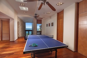 96-inch flat-screen TV with digital channels, DVD player, iPod dock - Viman (Kamala)