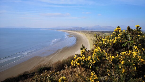 A coastal landscape with a beach and distant mountains. - Y Bwthyn (Llanbedr)