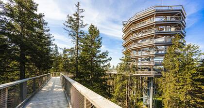 Nature escape Rogla APT1
