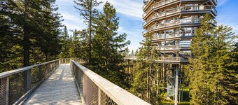 Nature escape Rogla APT1