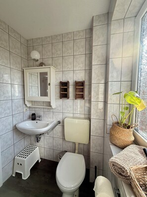 Regadera, secadora de cabello, jabón 