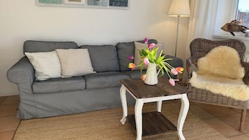 تلفزيون، ستيريو