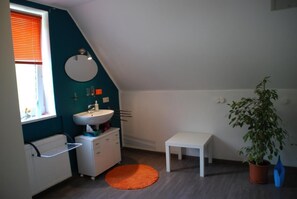 Regadera, secadora de cabello, jabón, papel de baño