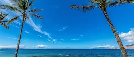 Plage, chaises longues, serviettes de plage