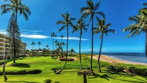 A resort with a well-manicured lawn, palm trees, and a beachfront view.