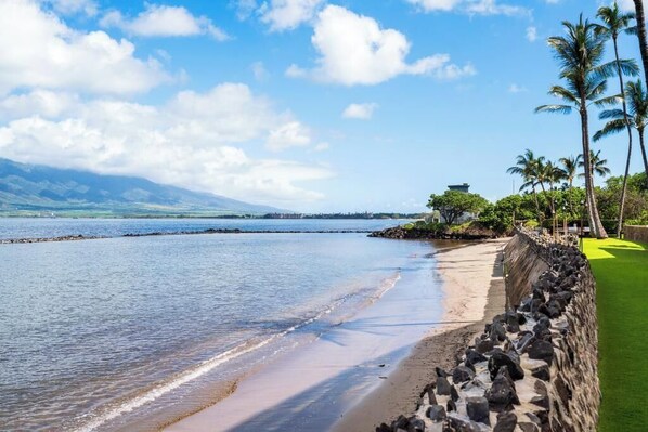 A beach with a stone wall, palm trees, and a view of the ocean and mountains.