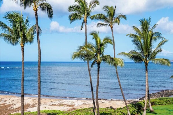 On the beach, sun loungers, beach towels