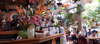 ☀️SACTO SUNNY HOUSE ☀️