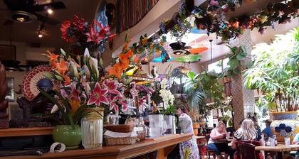 ☀️SACTO SUNNY HOUSE ☀️