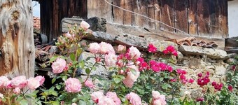 Casa en Alquiler en Santibañez de La Fuente