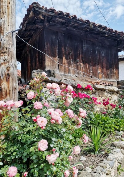 Casa en Alquiler en Santibañez de La Fuente