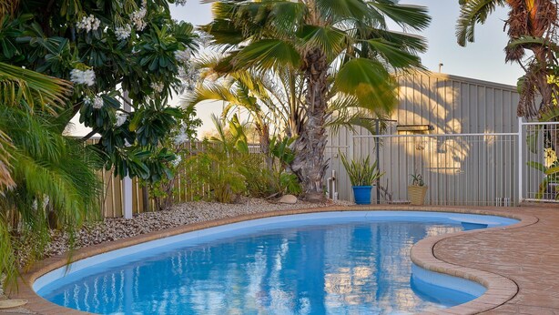 A swimming pool with a curved edge, surrounded by a variety of tropical plants and a metal fence. - 26 Tambor Drive - Pool and Pet Friendly (Exmouth)