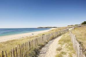 Nära stranden