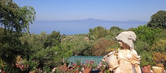 Garden room made from 80% re used materials