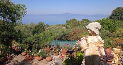 Garden Room Made From 80% re Used Materials