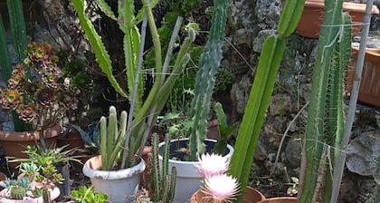 Chamber au jardin