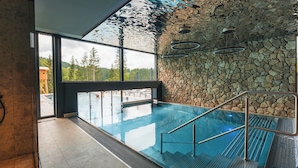 Una piscina interior con pared de piedra, una escalera metálica y vistas al exterior.