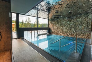 Una piscina interior con pared de piedra, una escalera metálica y vistas al exterior.
