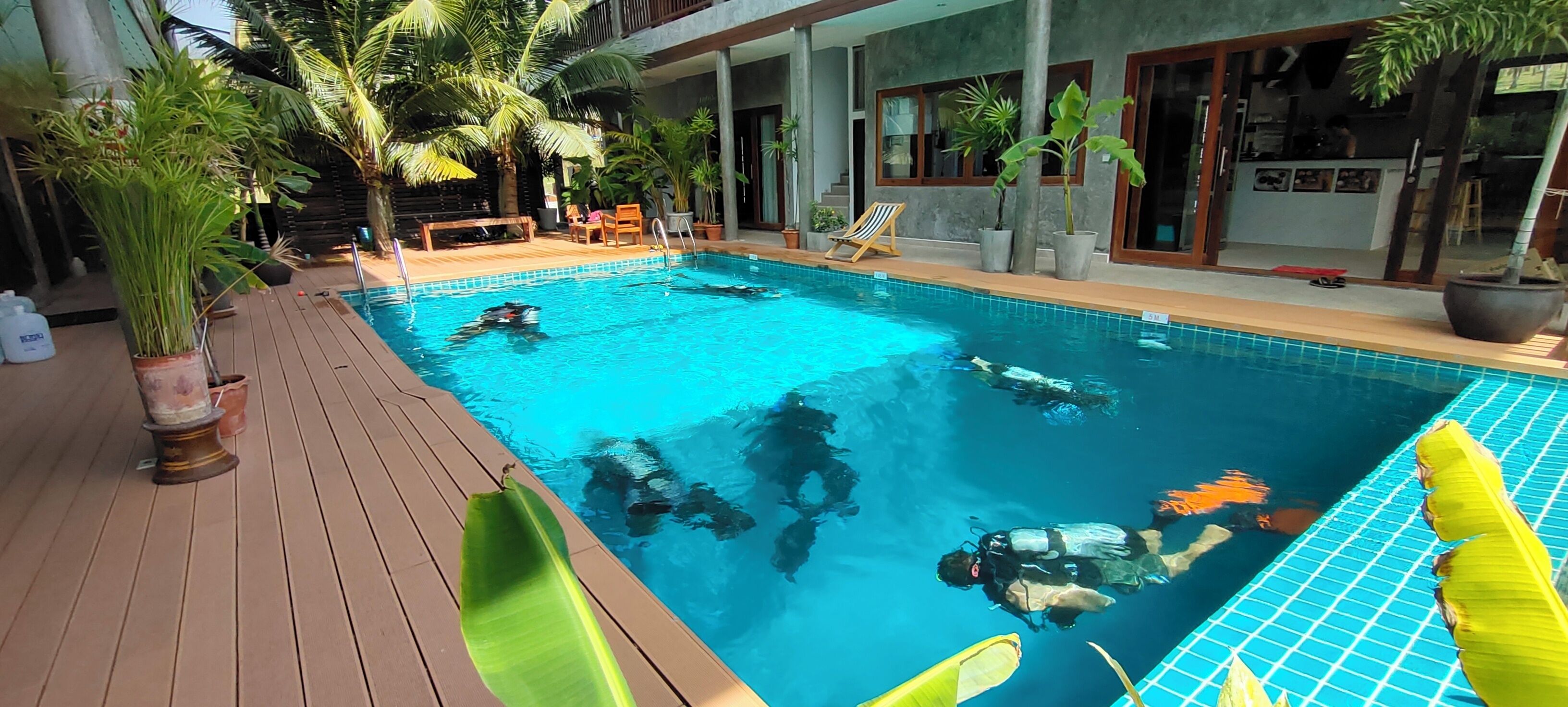 A swimming pool with divers, surrounded by potted plants and a wooden deck.