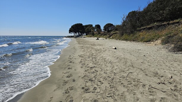 A sandy beach with footprints, a clear sky, and trees in the background. - Villa Melody Calme DS Residence Securisee Avec Piscines Proche MER ET Montagne (Santa-Maria-Poggio)