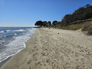 A sandy beach with footprints, a clear sky, and trees in the background.