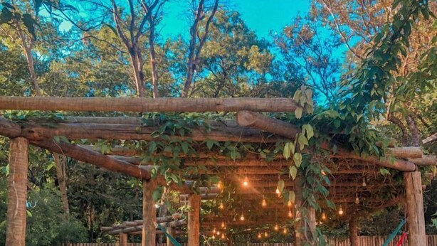Una pérgola de madera con una hamaca y luces colgantes, rodeada de vegetación.