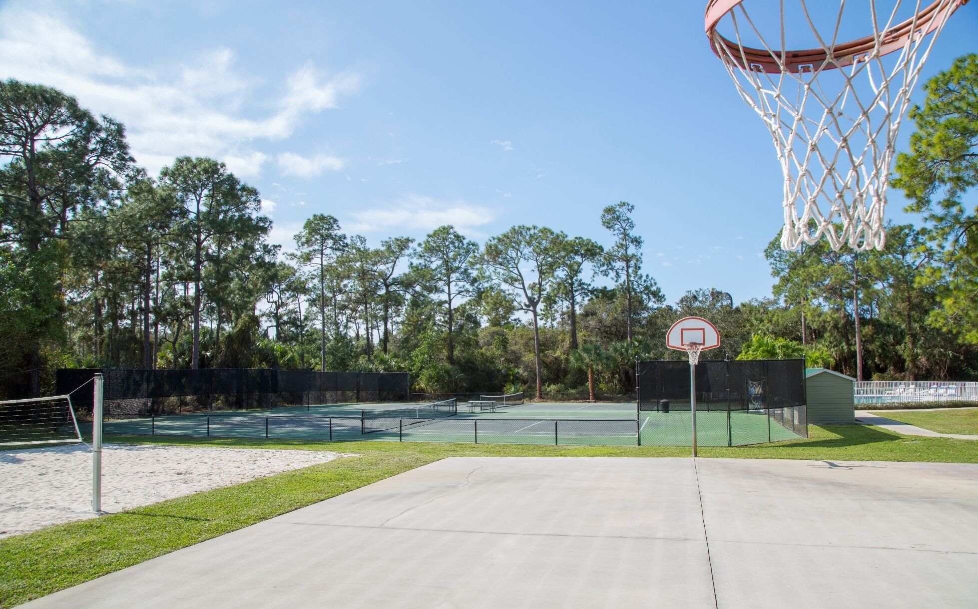 An outdoor basketball court with a net, surrounded by trees and a fence.