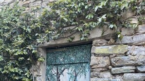 A stone building with a mural of a tree on the door. There are potted plants on the steps. - Casa Norvegia by Interhome (Valloria)