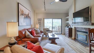 Televisión, chimenea y reproductor de DVD