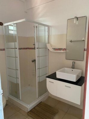 Un baño con ducha envuelta en vidrio, un lavabo blanco y un espejo encima.
