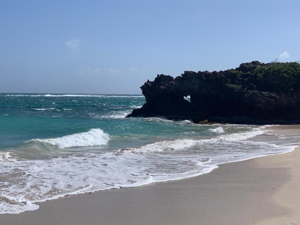 在海灘附近、白沙