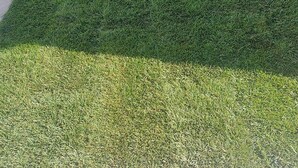 A well-maintained lawn with a stone retaining wall and steps leading to a building with a balcony. - 4 Bedroom Private vacation home in Govone (Govone)