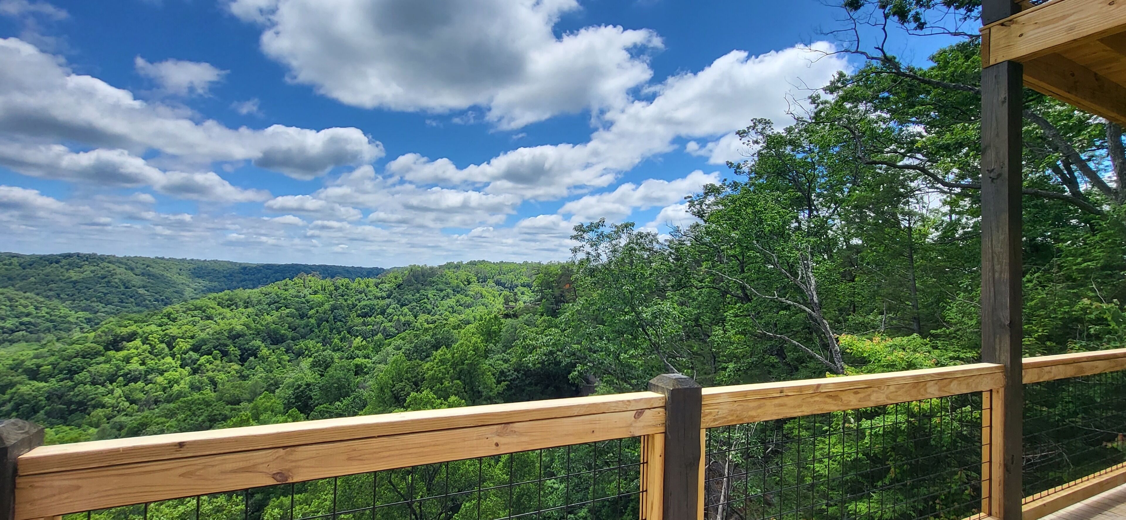 Une terrasse en bois offrant une vue sur un paysage boisé sous un ciel partiellement nuageux.