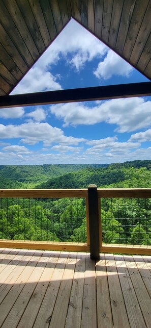 Property grounds - All New Firefly Cottage in the Woods Overlooking Red River Gorge Geological area (Frenchburg)