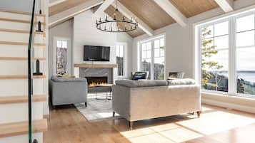 Smart TV, fireplace, books