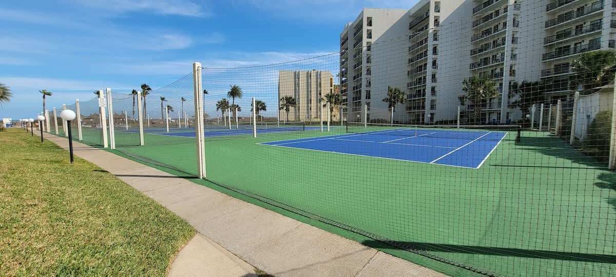 A tennis court with a net, surrounded by a green fence and palm trees.