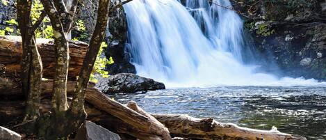 Studio (6 Bedrooms) | Property amenity