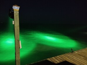 A wooden pier extending into a body of water with a green light reflecting on the surface.