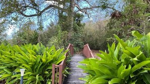 Un sendero de madera bordeado de abundante vegetación verde que conduce a un puente de madera.