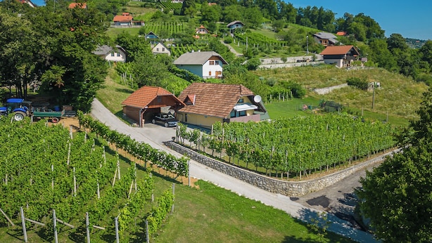 A hillside village with vineyards, houses, and a church. - Vineyard Cottage Hocevar With Sauna (Novo Mesto)