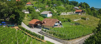 Vineyard Cottage Hocevar With Sauna