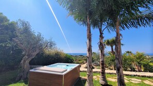 A hot tub in a lush garden with palm trees and a view of the sea.