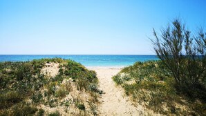 A sandy beach path leading to the ocean, surrounded by vegetation.