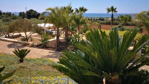 A landscaped garden with palm trees and a view of the sea.