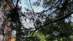 Ein Innenhof mit einem Kiesweg, einem kleinen Baum und einem Gebäude mit einem Balkon.