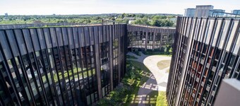 The Forest Studio by Daniel & Jacob's