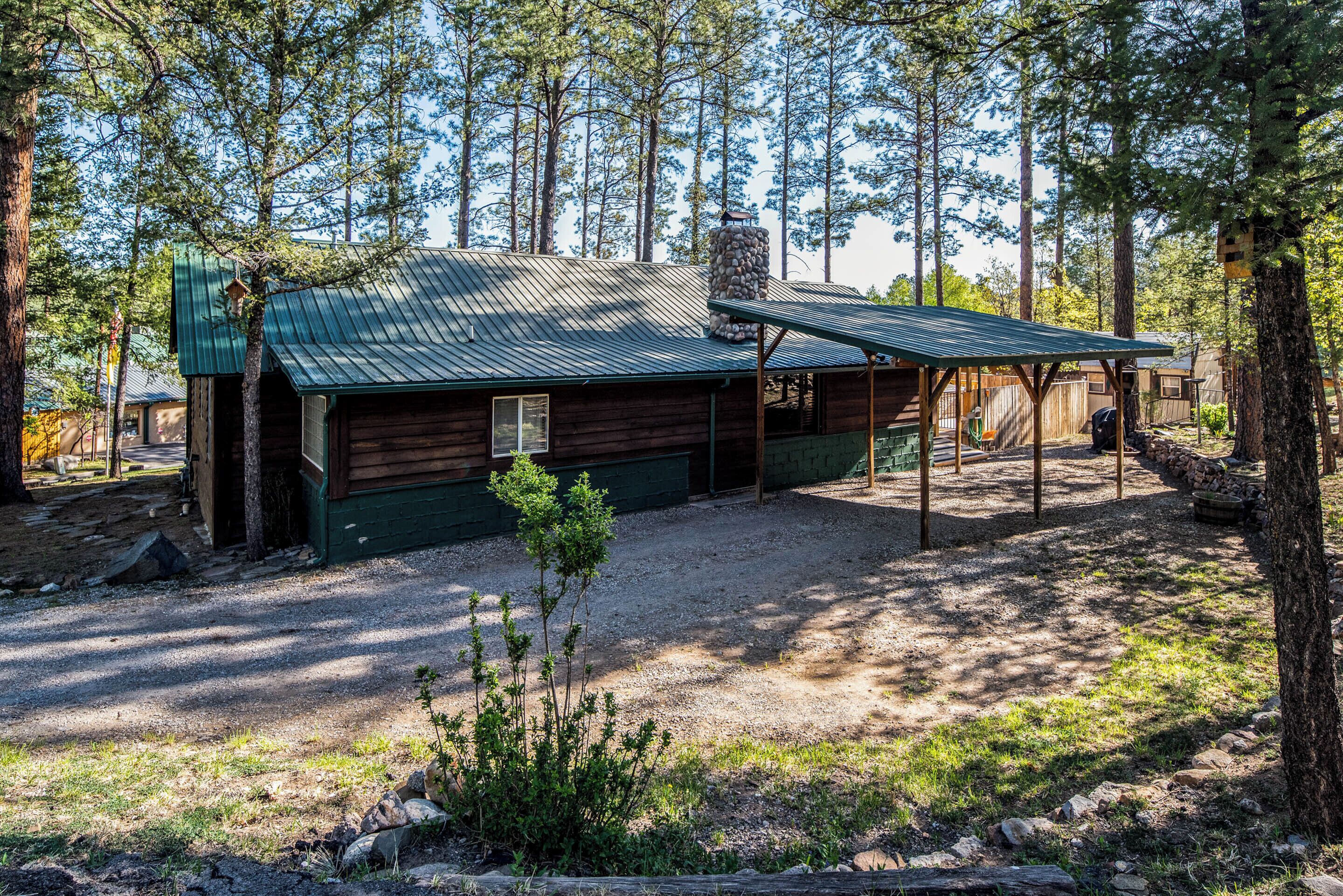 A rustic cabin with a metal roof, surrounded by tall trees.