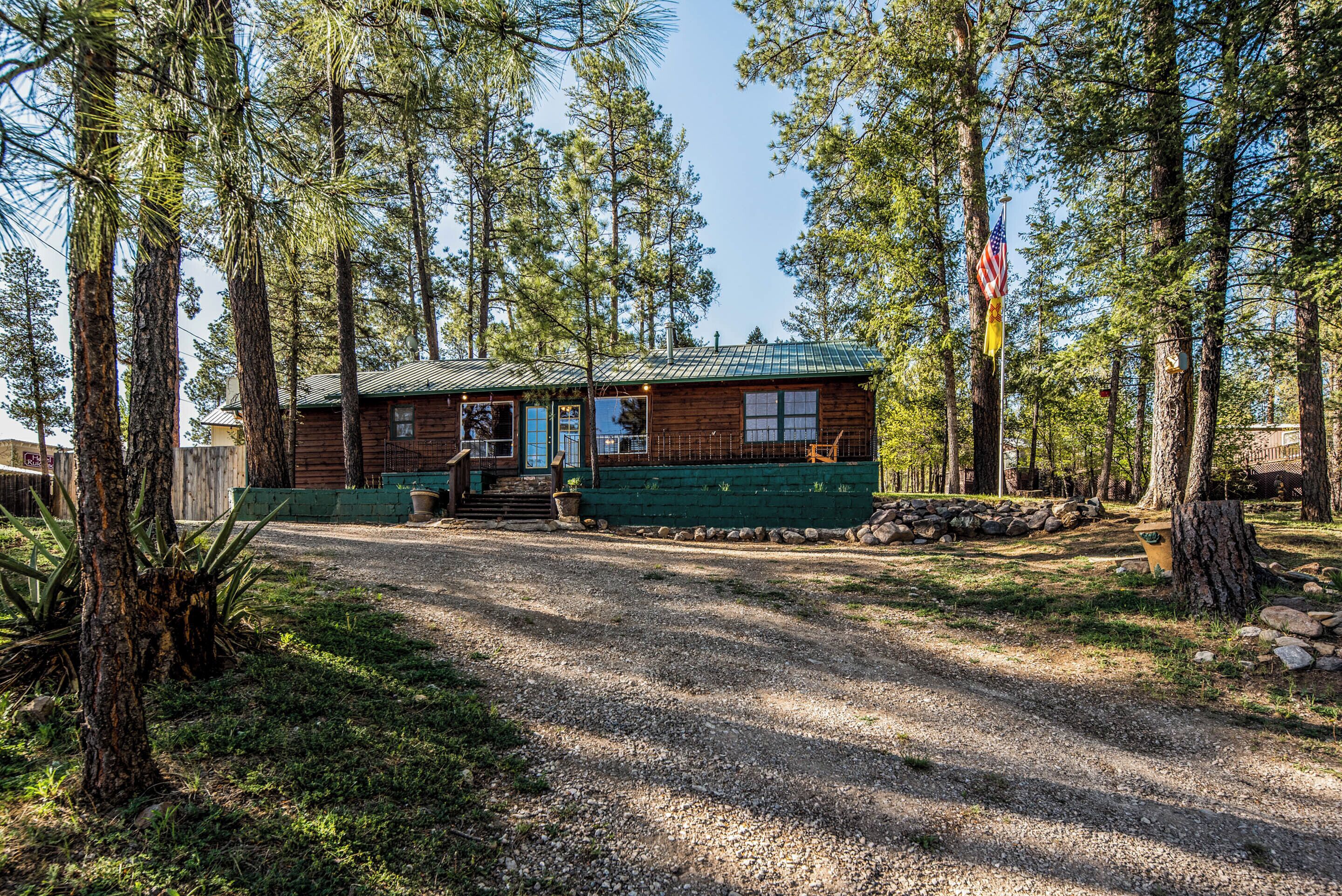 A cabin with a gravel driveway, surrounded by tall pine trees.