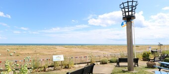 ドリーズ ルックアウト